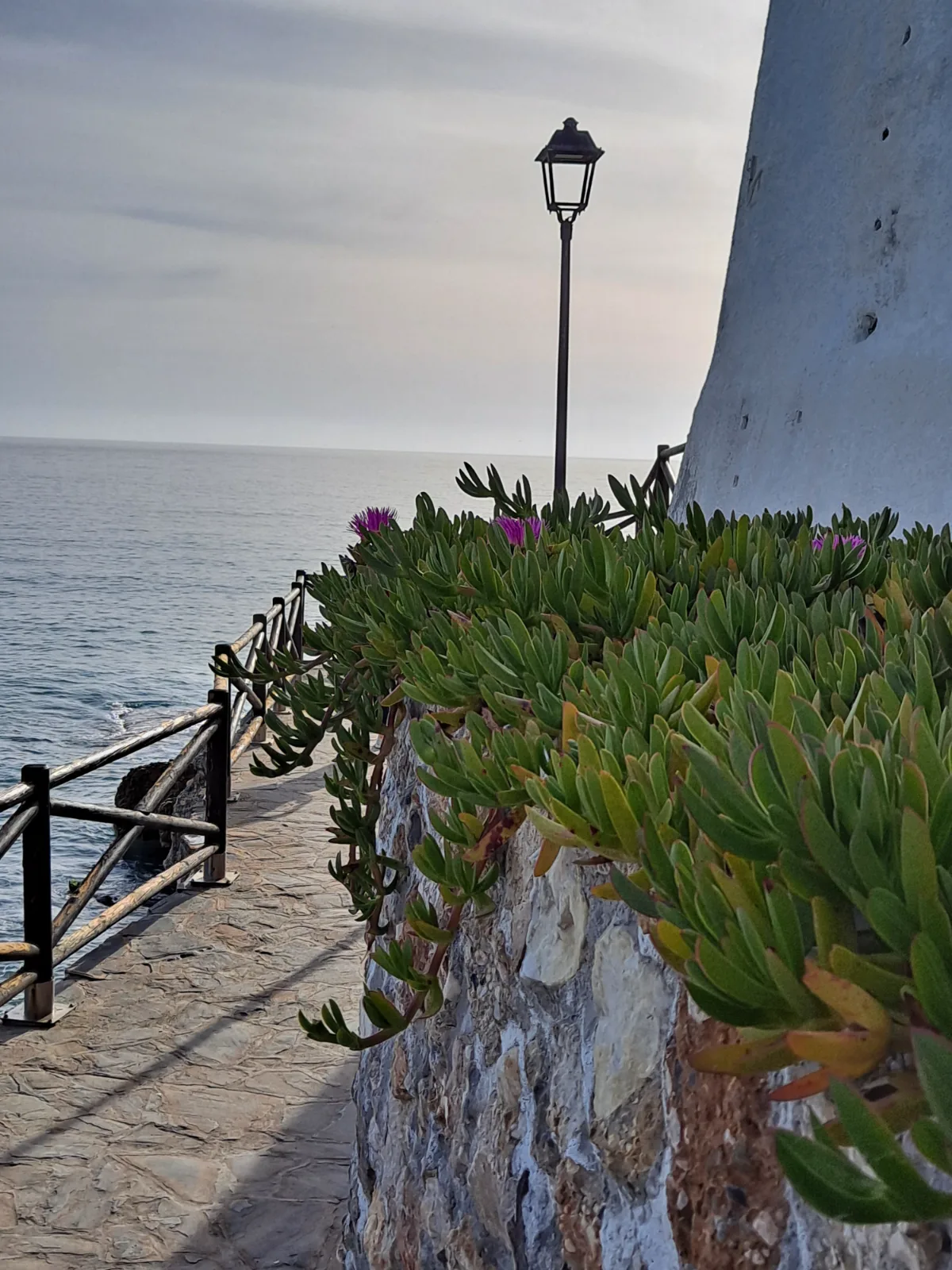 Coastal walking path